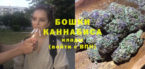 гидра Кулебаки