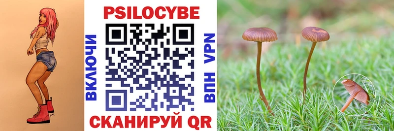 Псилоцибиновые грибы MAGIC MUSHROOMS  МЕГА маркетплейс  Томари  наркотики 